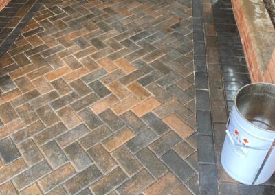 midlands gardening 1