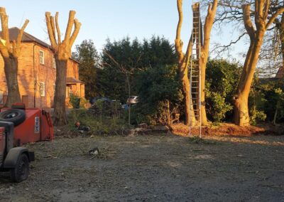 midlands gardening 21