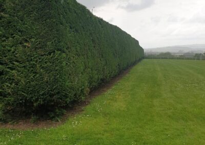 midlands gardening 35