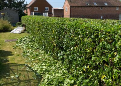 midlands gardening 8