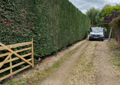 midlands gardening 9